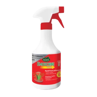 Emouchine total - Ravene