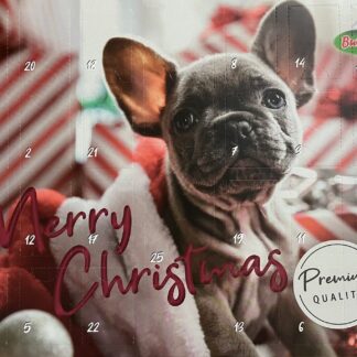 XMAS - Calendrier de l'Avent - Bubimex